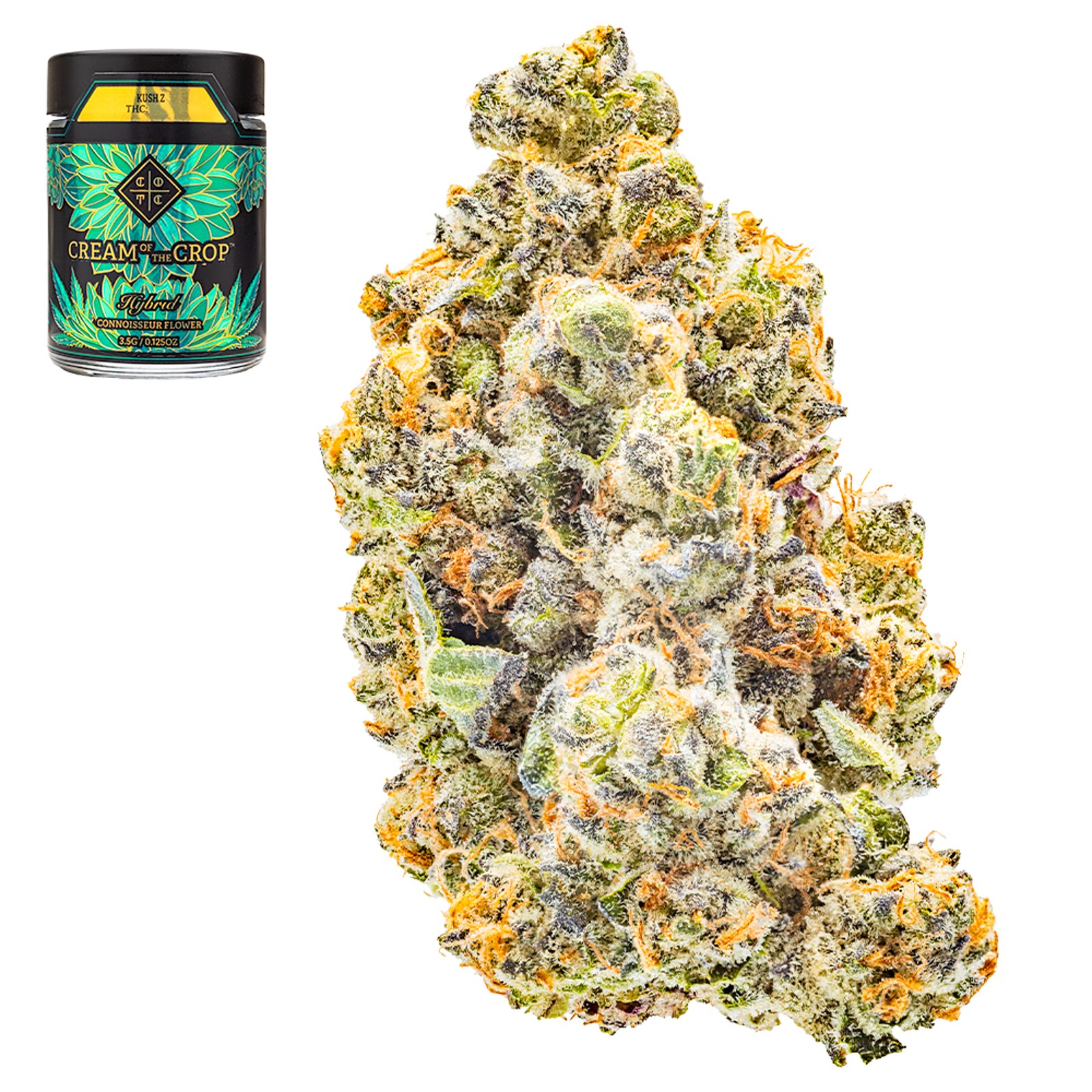 Kush Z