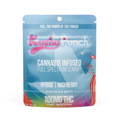KUSHY PUNCH: Blue Raspberry Sugar Free - 100mg Gummy (H)
