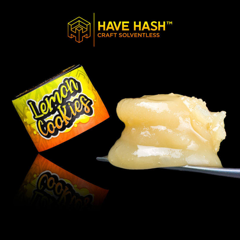 HAVE HASH - Cold Cure Rosin - Lemon Cookies - T2 - Concentrates - 2.0g