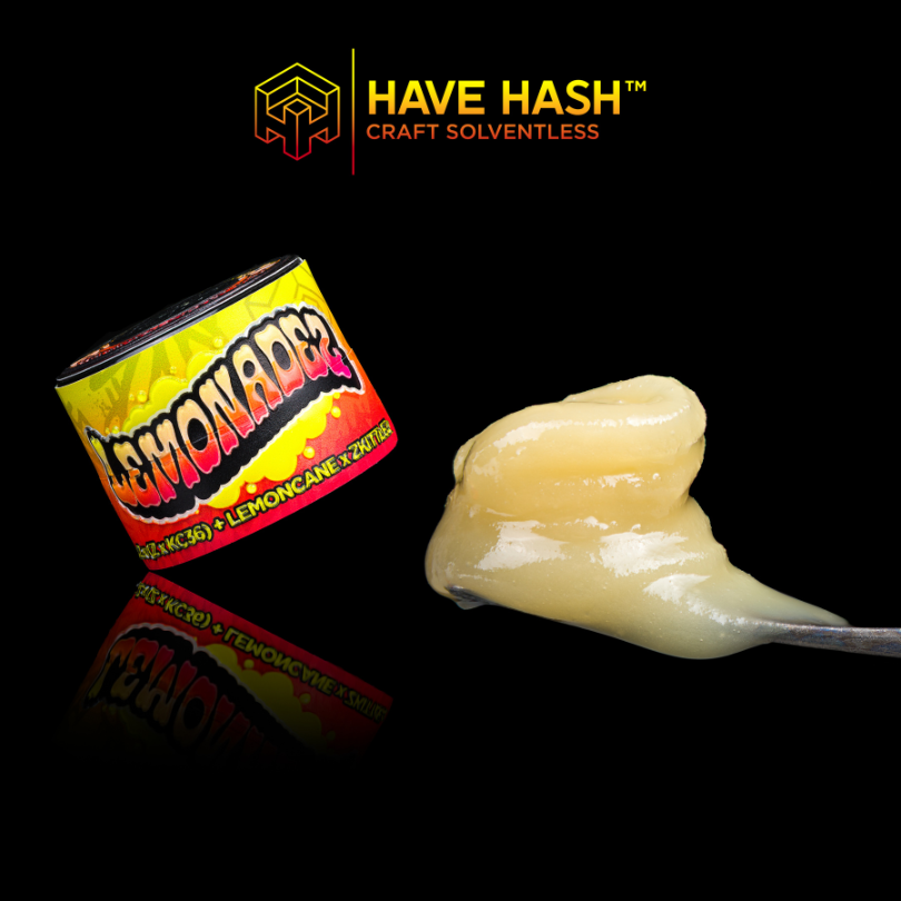 HAVE HASH - Cold Cure Rosin - Lemonadez T2 - Concentrates - 1.0g