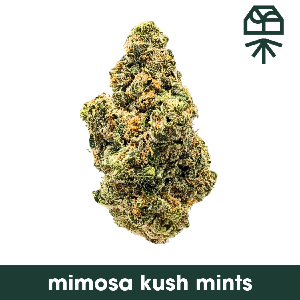 Grassroots | Mimosa Kush Mints | 3.5g