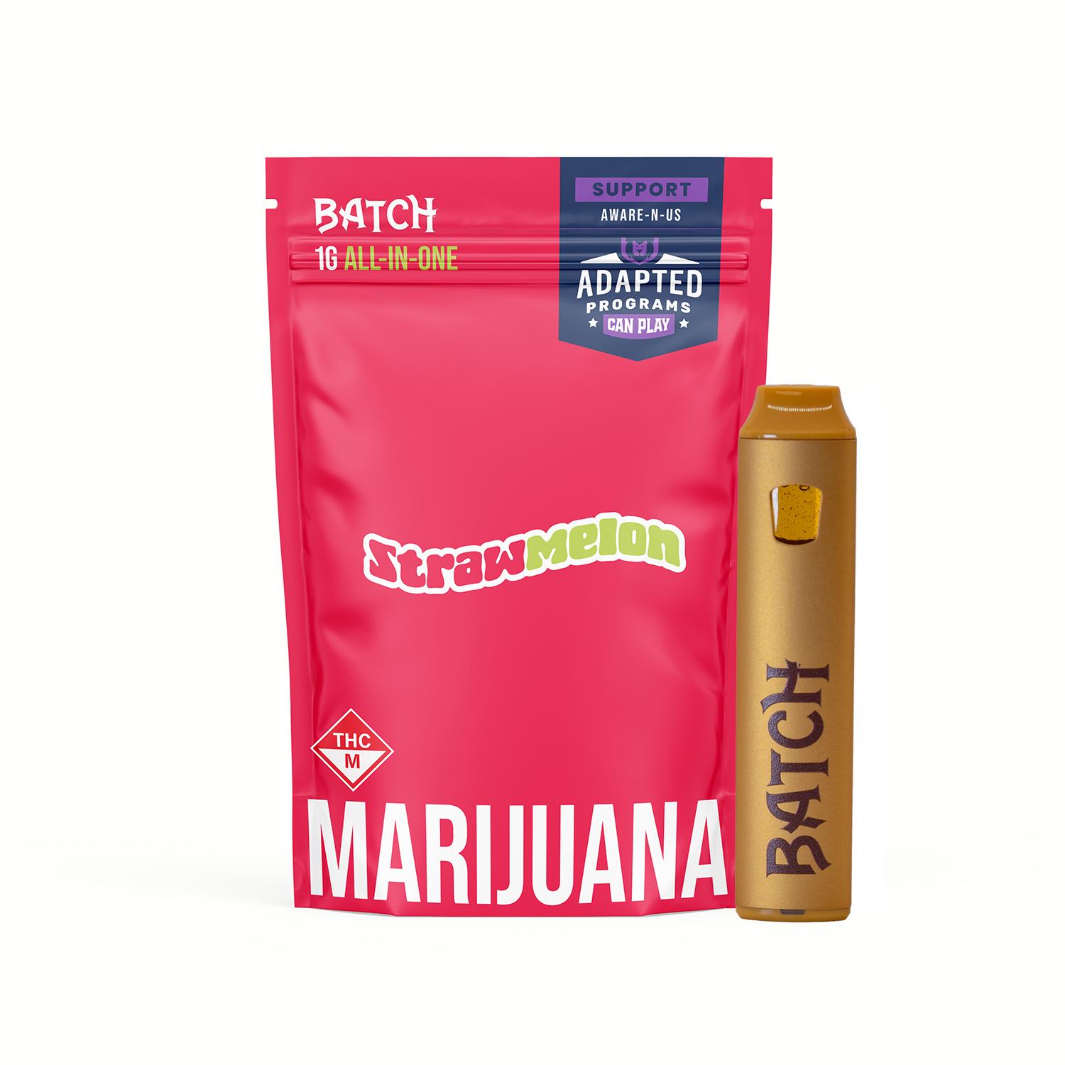BATCH - STRAWMELON 1 GRAM DISPOSABLE VAPE