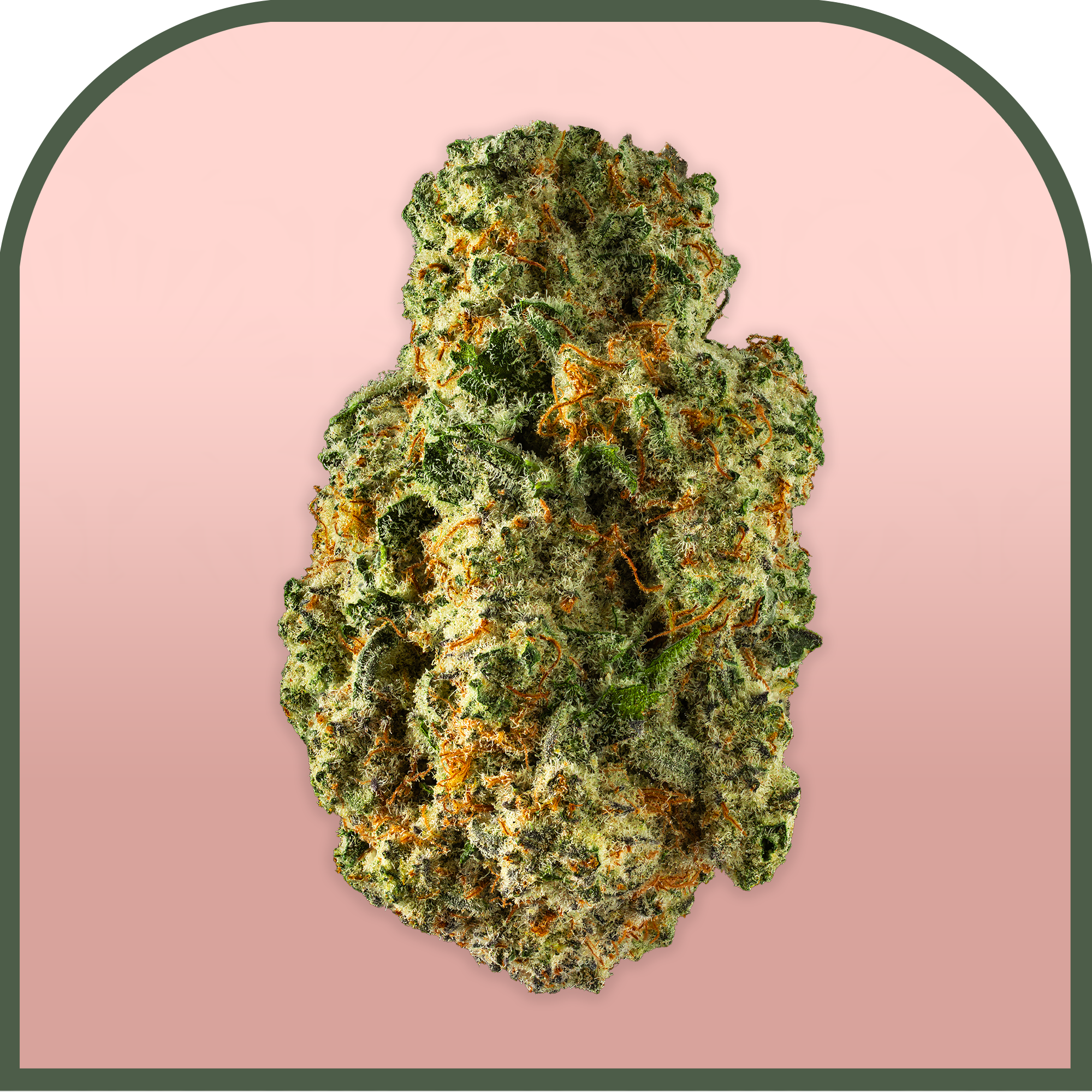 MAC V2 | Pre-packed 3.5g