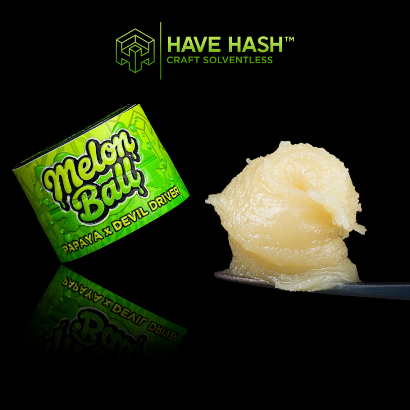 HAVE HASH - Cold Cure Rosin - Melon Ball - T2 - Concentrates - 1.0g