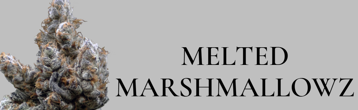 Melted Marshmallowz | 3.5g