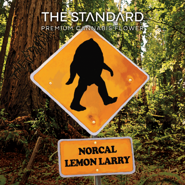 STANDARD WELLNESS - NORCAL LEMON LARRY 3.5 GRAMS