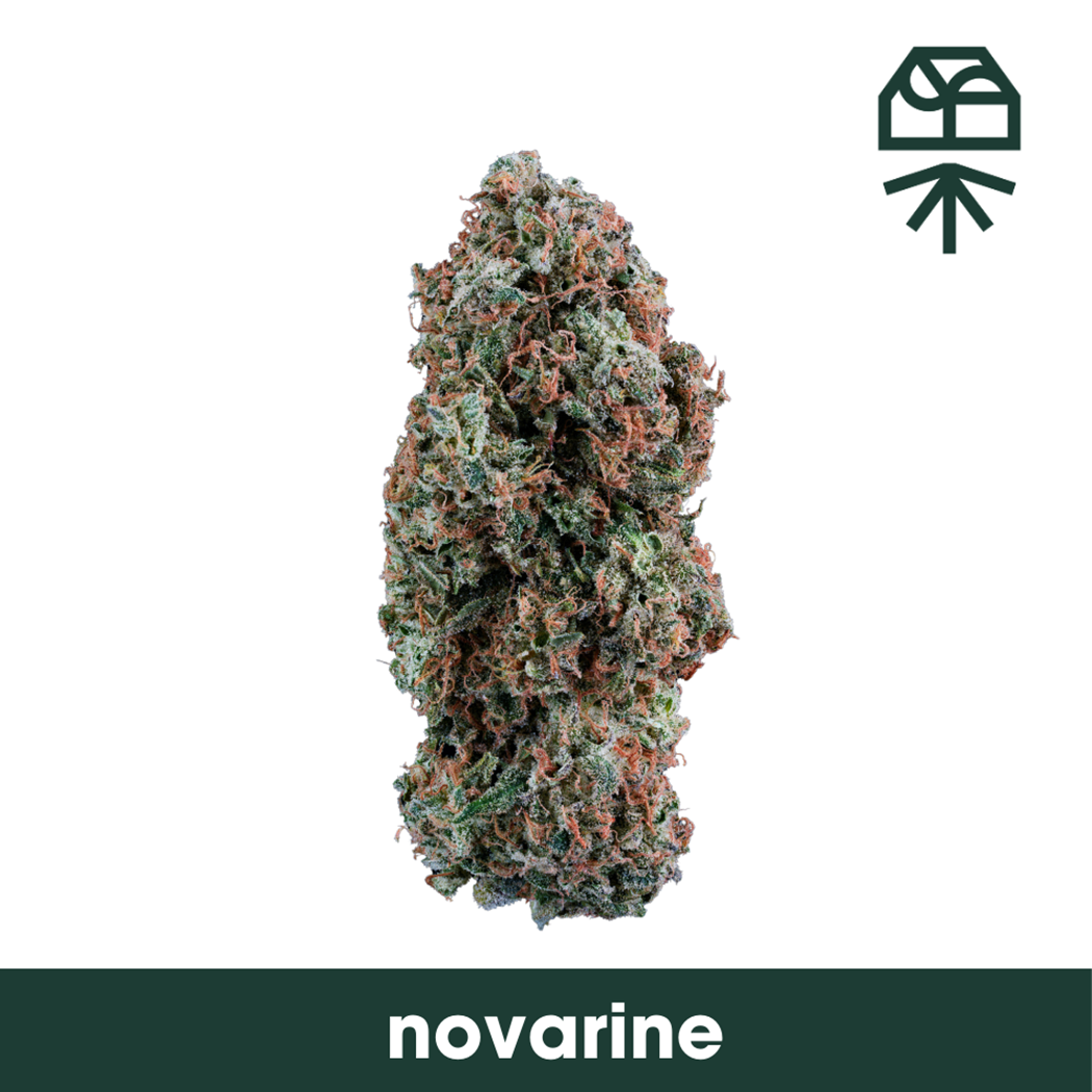 Grassroots | Novarine | 3.5g Flower