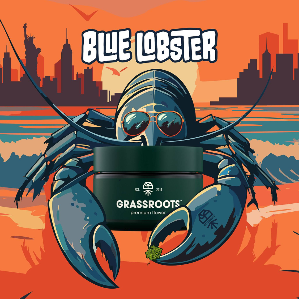Grassroots | Blue Lobster | 3.5g