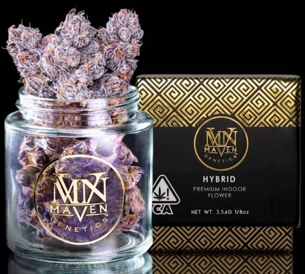 Maven New Money 1/8 31%