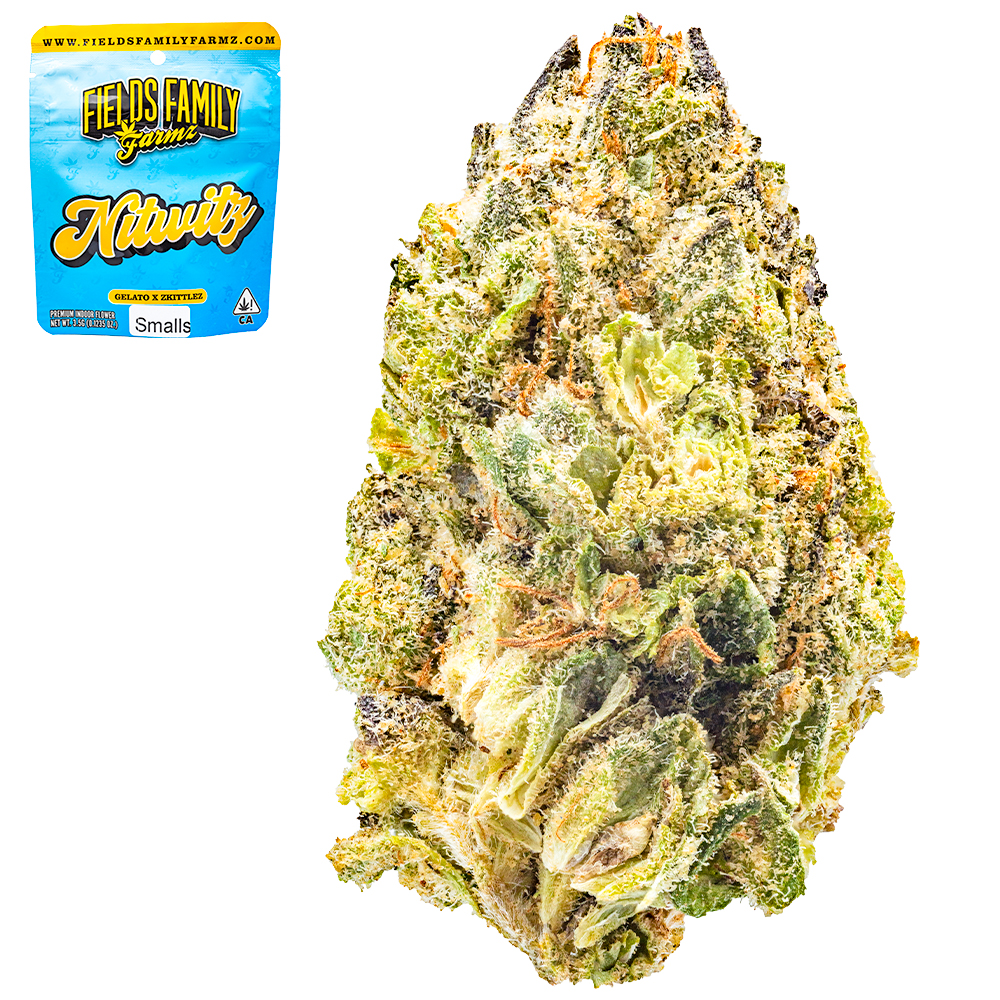 fam ♡ adidas ZX 420 