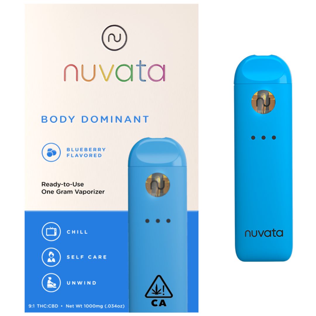 Vape: Blueberry (Disposable)