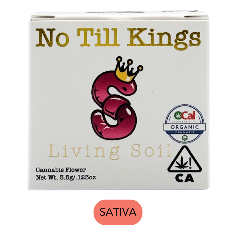 No Till Kings - White Widow #11 - Flower - 3.5g