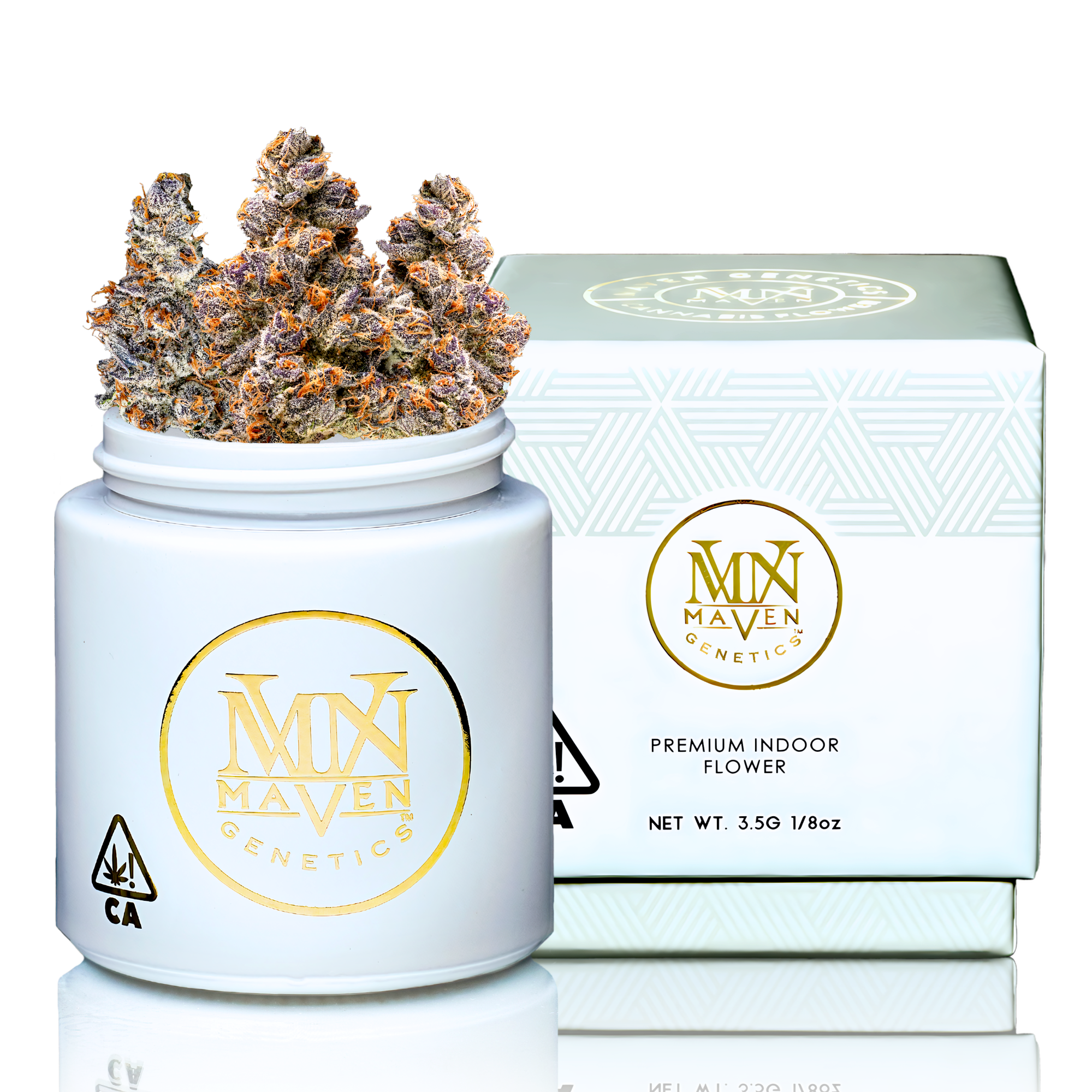 Maven Genetics | Indoor | Orange Sapphire | 3.5g