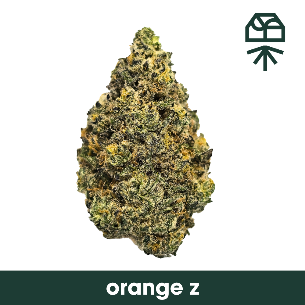 Grassroots | Orange Z | 3.5g