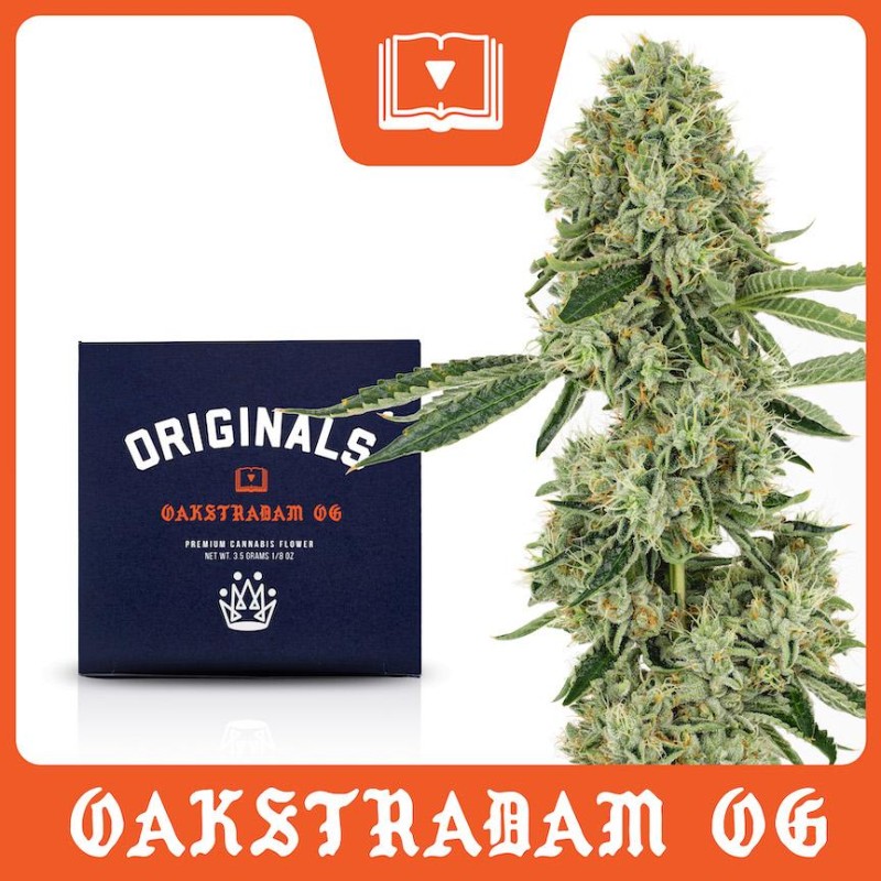 Originals Family Farms Oaksterdam OG (I/H) Flower 3.5g