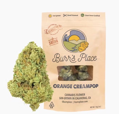 Burr's Place Orange Creampop 1/2 PD 32%
