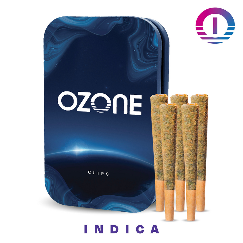 Ozone Garlic Cookies 0.5g 5pk Prerolls