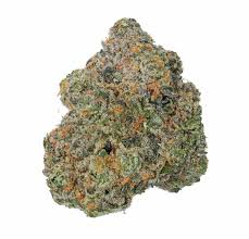 LOCAL LEAF - PAPAYA (DELI)