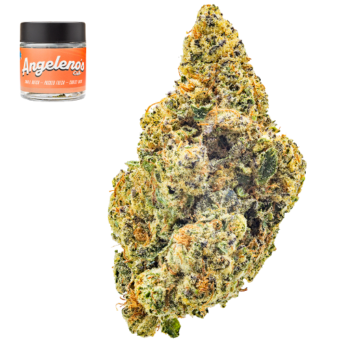 A Deep Dive into the Jack Herer Strain