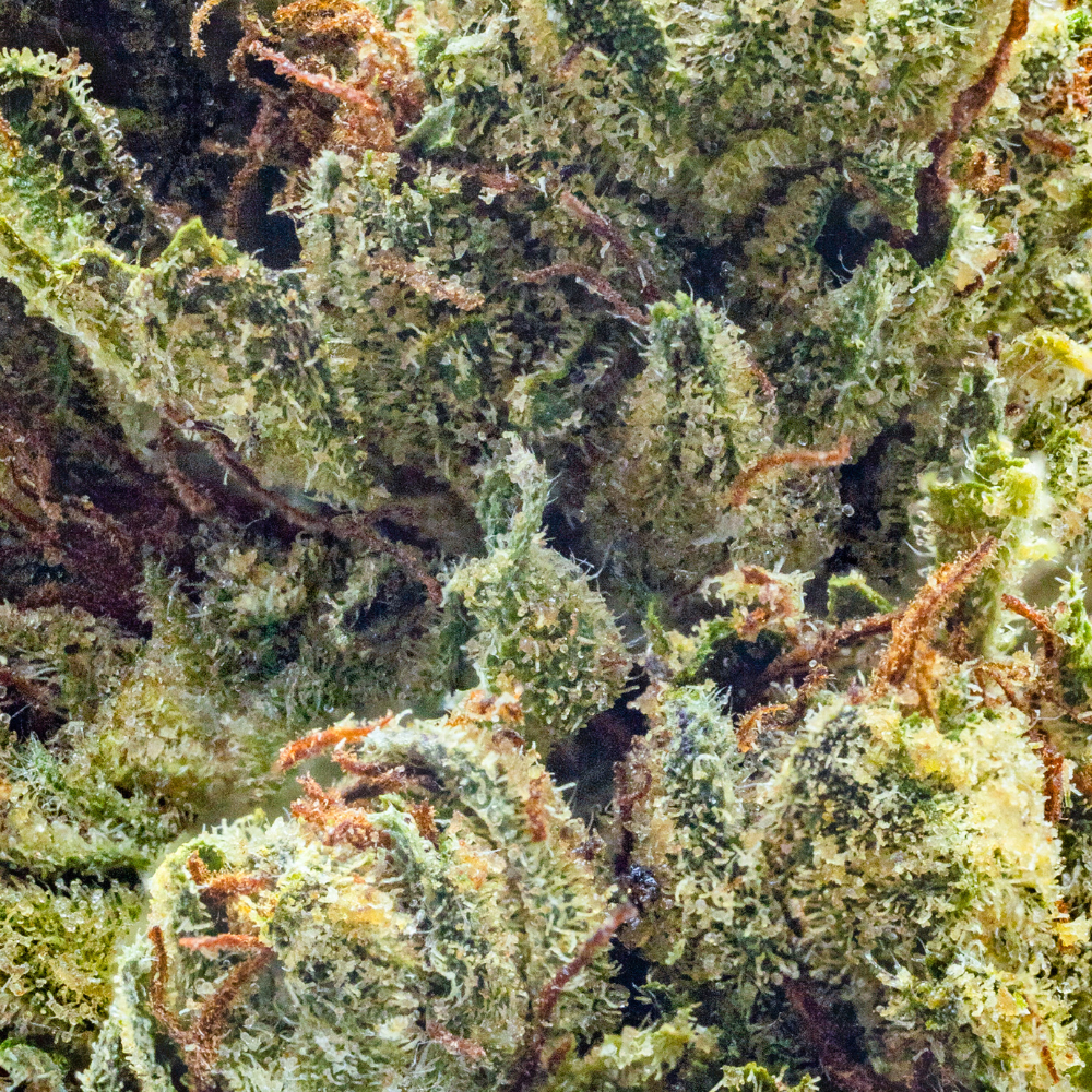 パイナップル クリスタル Pineapple Z Strain | Cannabis Flower | Hyperwolf