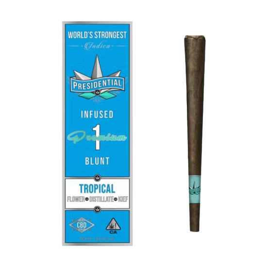 Presidential - Preroll - Tropical - 1G