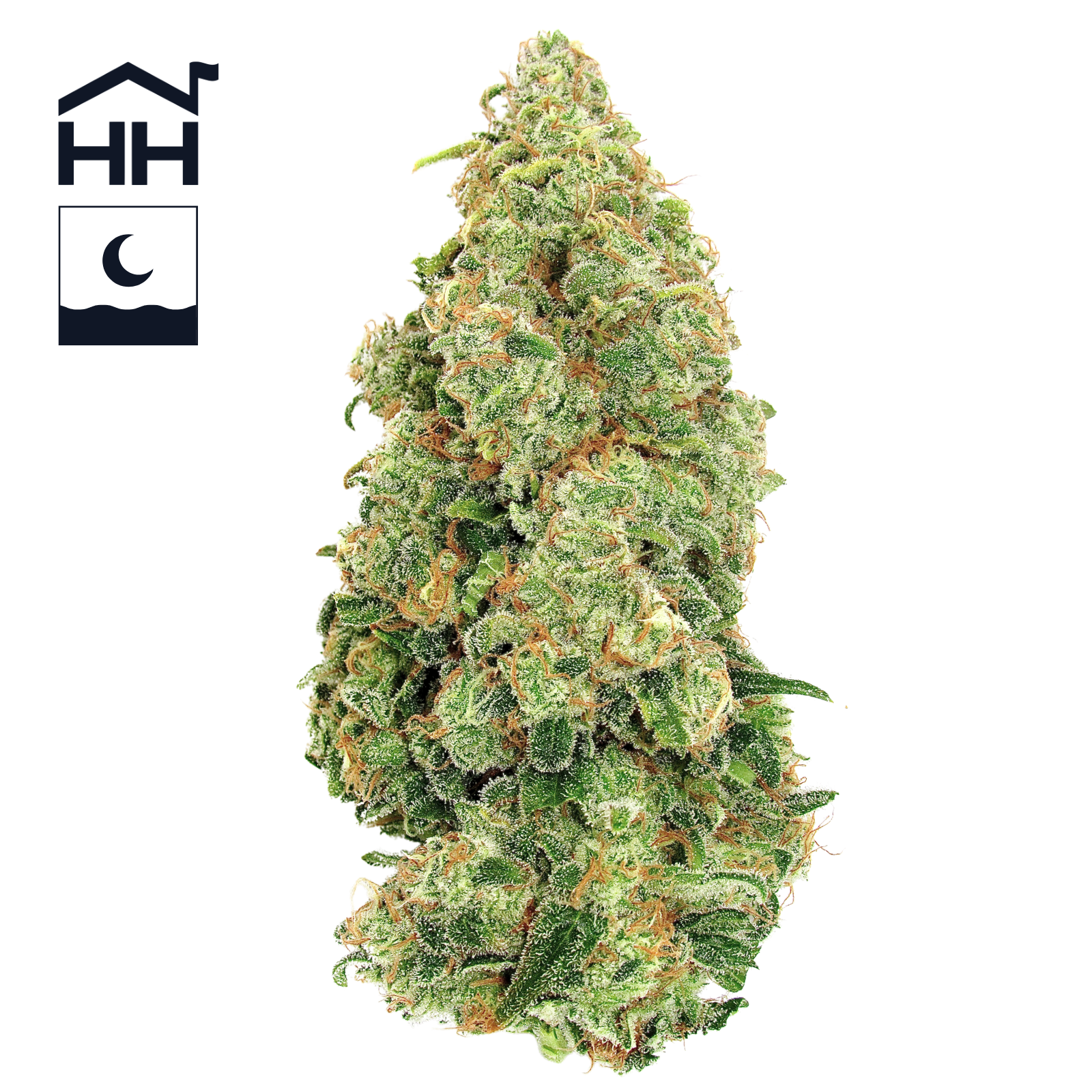 Papaya Cake | 3.5g