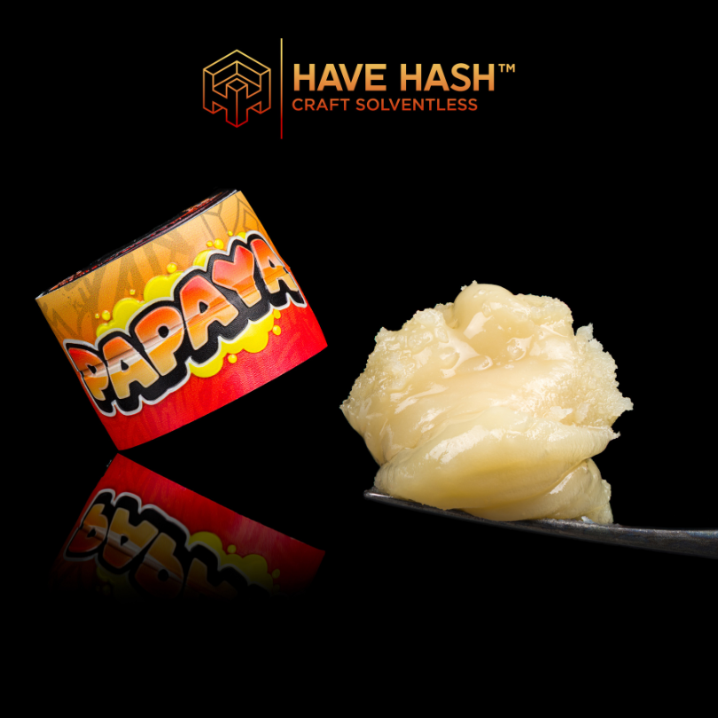 HAVE HASH - Cold Cure Rosin - Papaya T2 - Concentrates - 1.0g