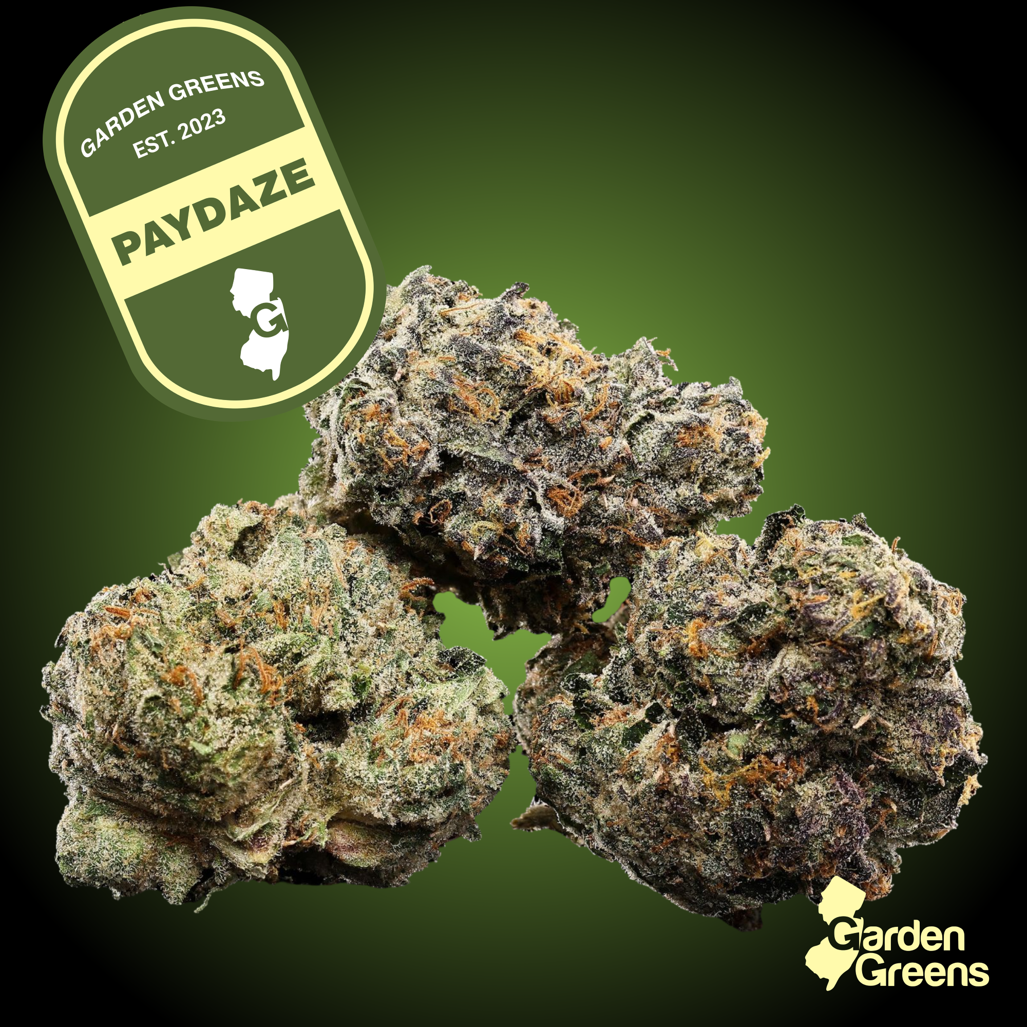 PayDaze | 3.5G - 3.5g | Flower | Garden Greens | Molly Ann Farms