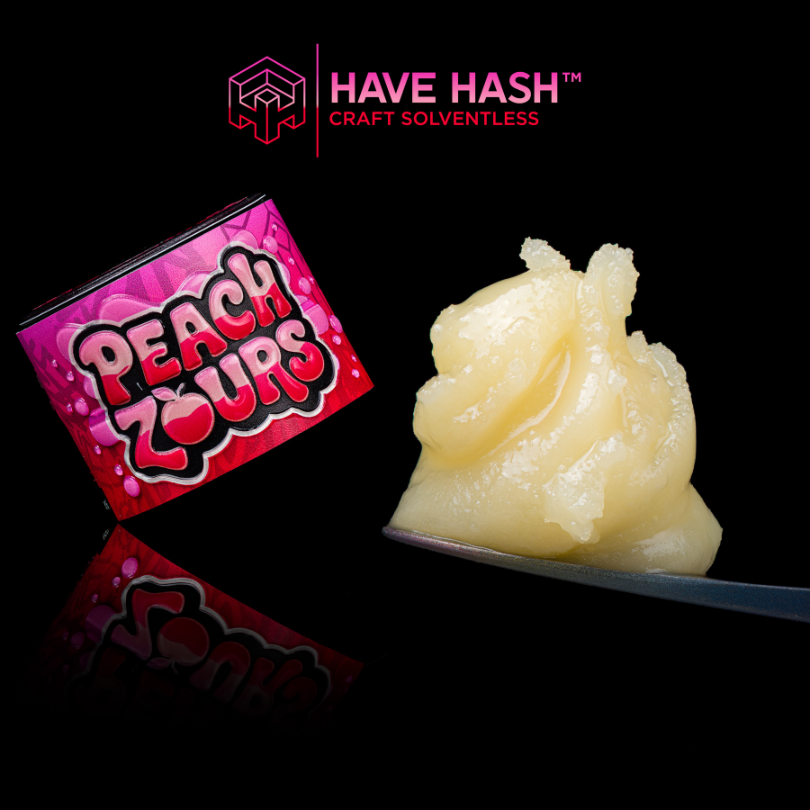 HAVE HASH - Cold Cure Rosin - Peach Zours T2 - Concentrates - 2.0g