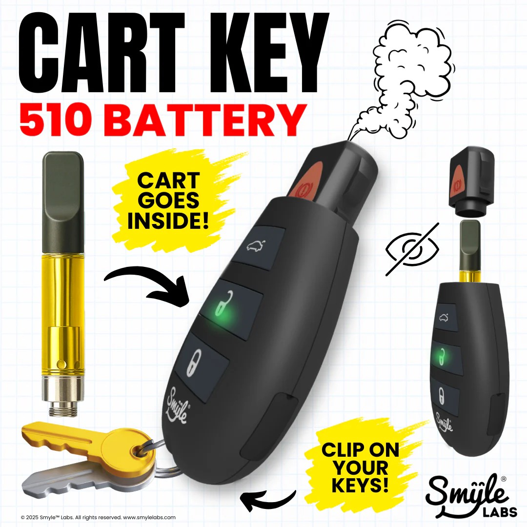 Penjamin | 510 Battery | Car Key