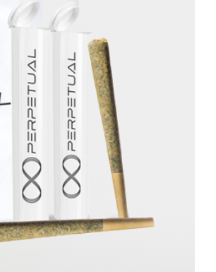 Smorez Preroll | 1g