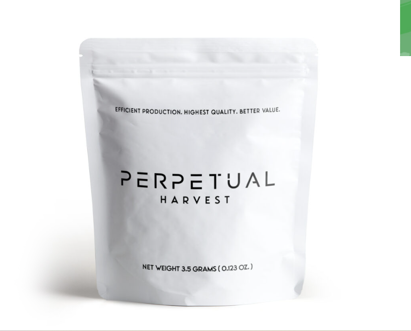 Mint Distillate Infused Preground | 3.5g