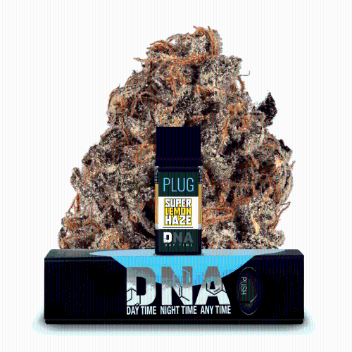 PLUG PLAY - Super Lemon Haze DNA - 1g - Vape