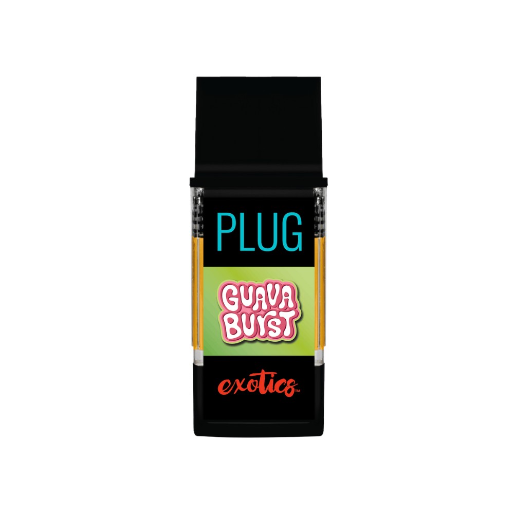 PlugPlay — Guava