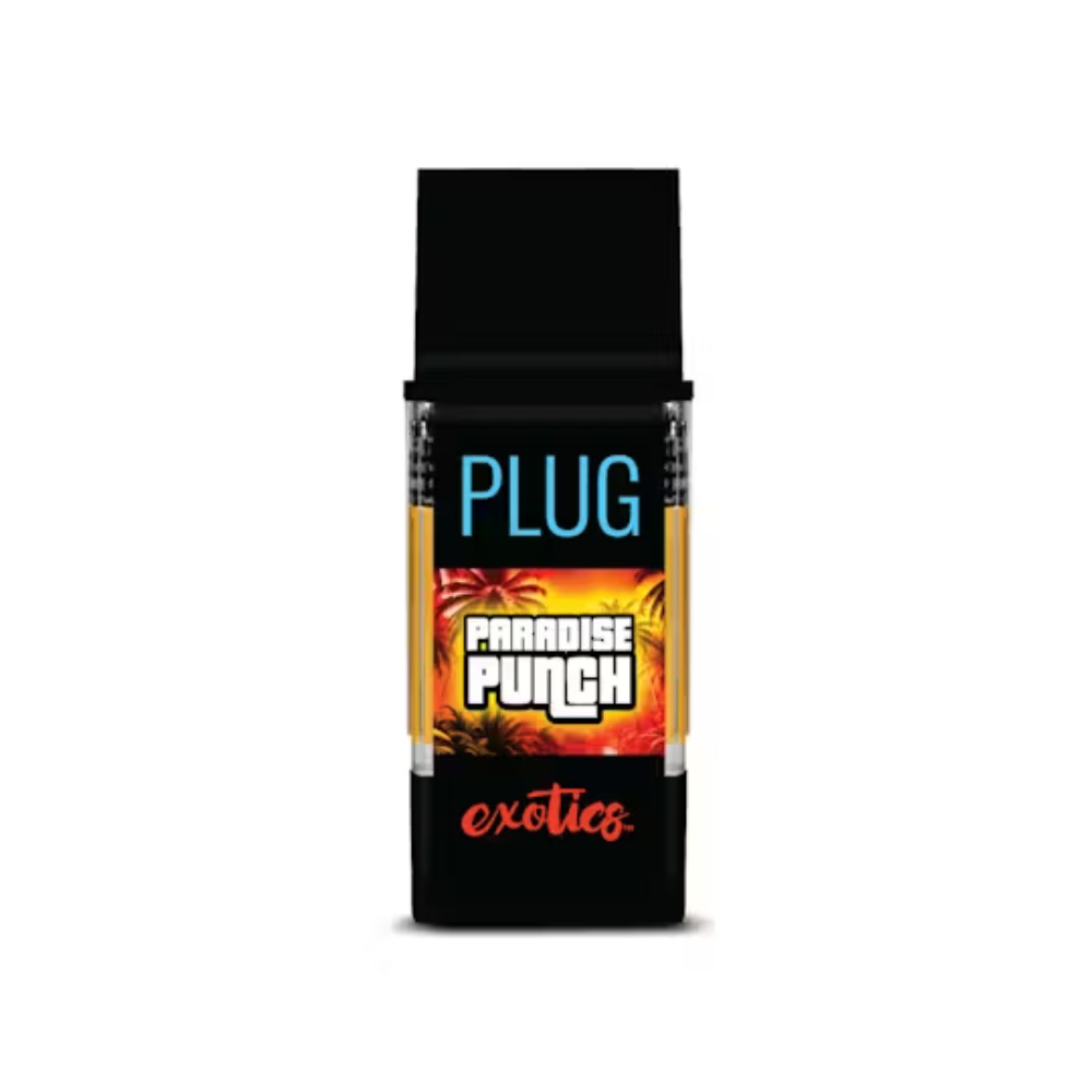 PlugPlay — Paradise Punch