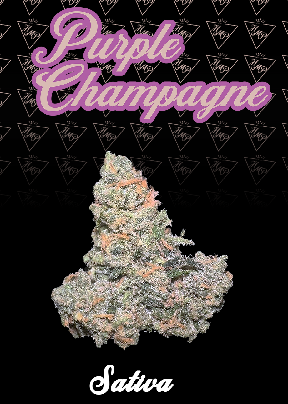 Purple Champagne | 3.5g