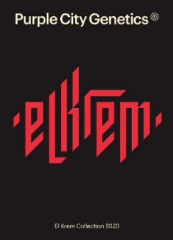 SALE Purple City Key Lime Tart FEMINIZED Seeds 6pk (El Krem Collection) PD