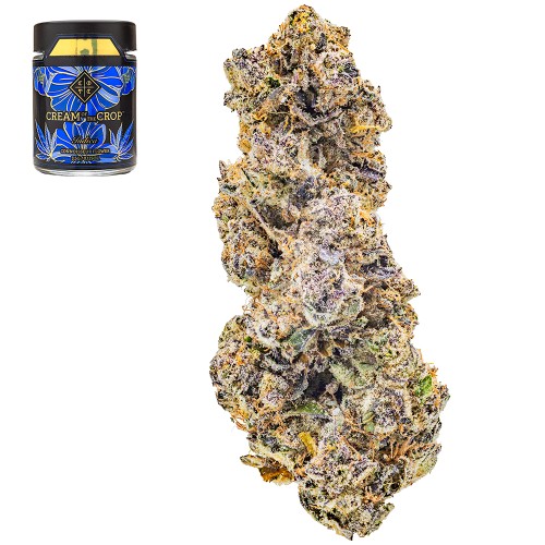 Purple-Pineapple---Flower---