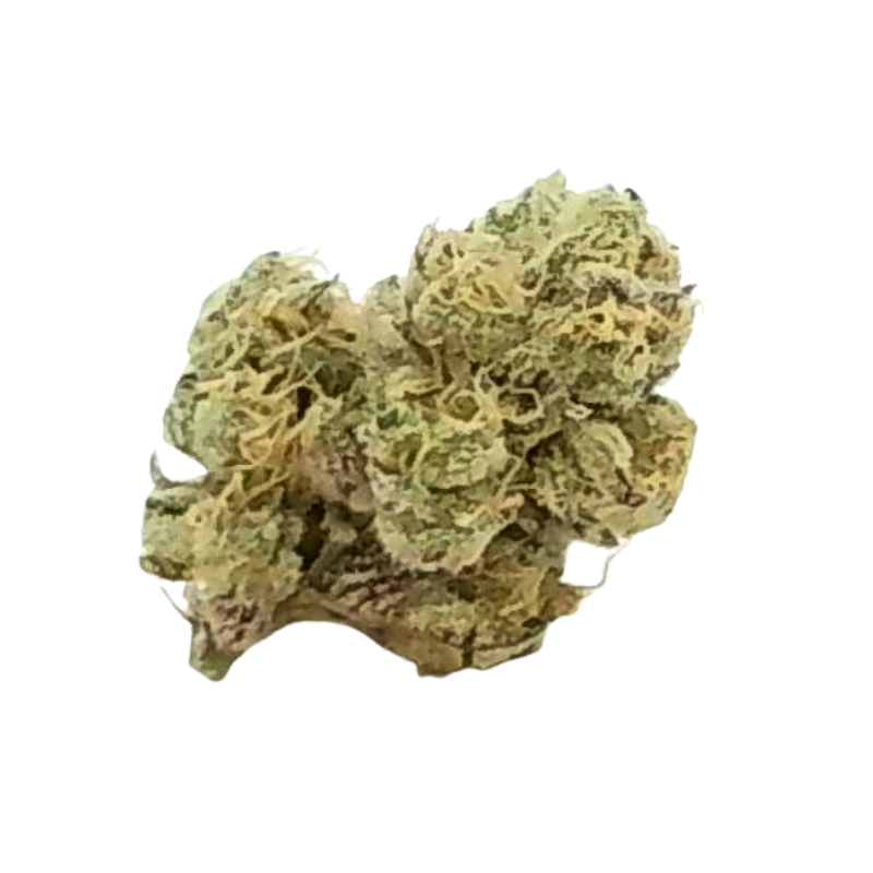 RD Black Maple | 7g