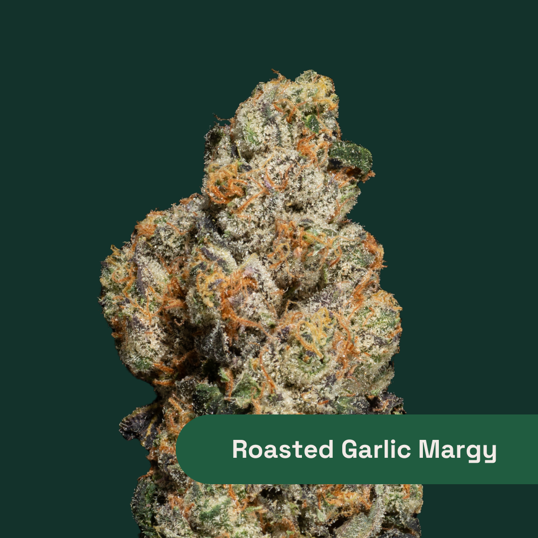 Roasted Garlic Margy