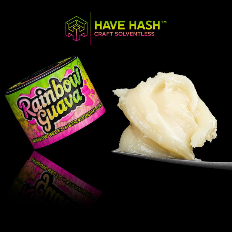 HAVE HASH - Cold Cure Rosin - Rainbow Guava - T2 - Concentrates - 2.0g