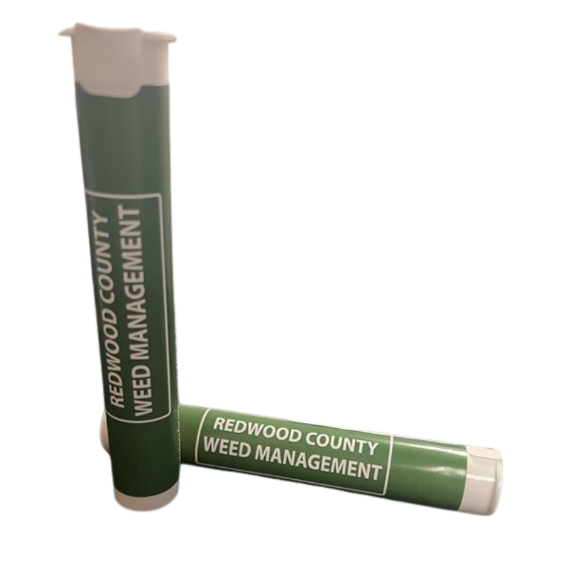 RW Gastro Pop | 1g | 1 count