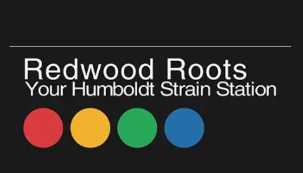 Redwood Roots 1g Black Cherry Soda Preoll
