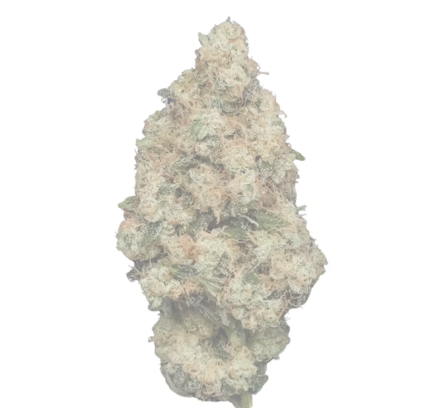 Root & Bloom Ghost Dawg 28g