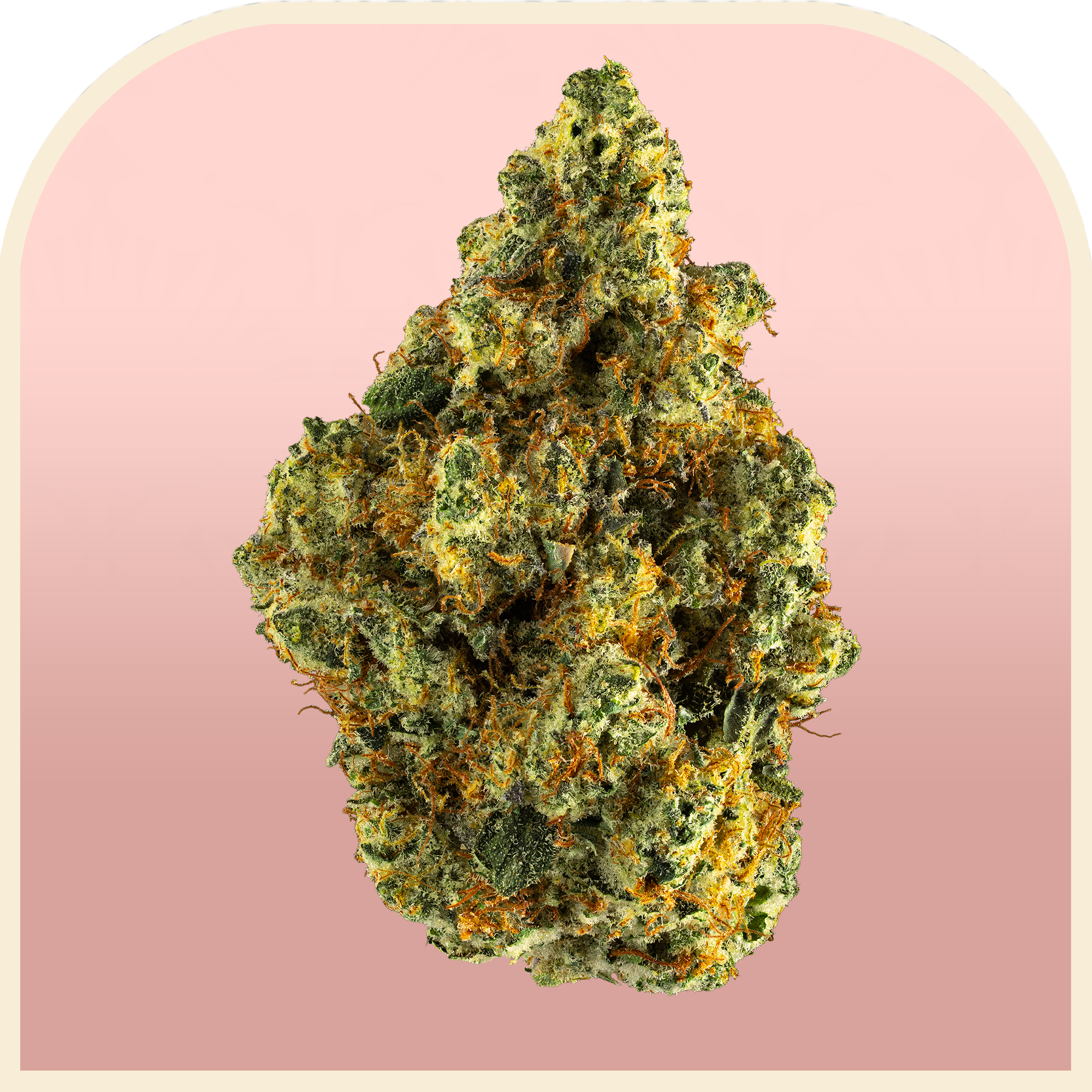 Roseanna | Pre-packed 3.5g