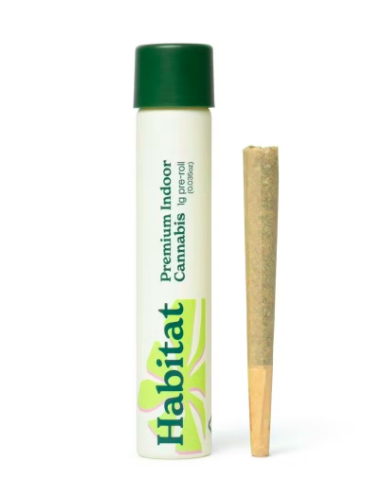 Paloma Preroll