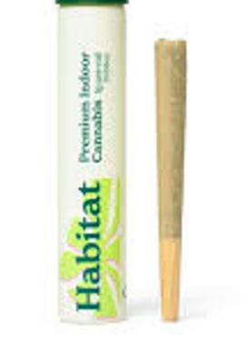 Blue Dream Preroll
