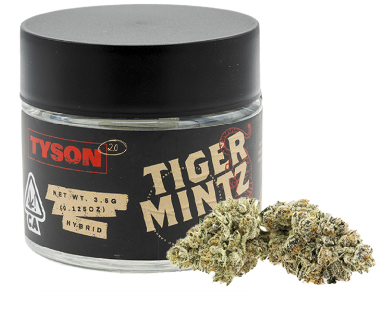 Tiger Mints Nothern