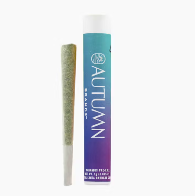 Sundaze - Lemon Cream - Sativa - Preroll - 1 Gram