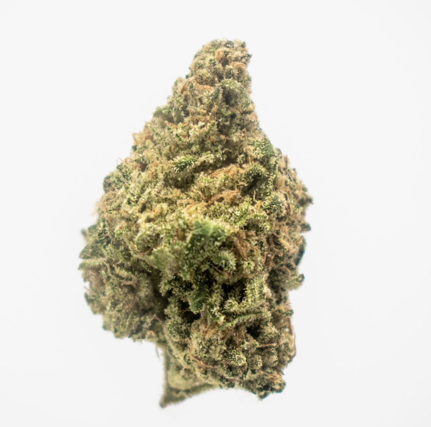 Honey Banana | Whole Flower - 1oz in Pepperell